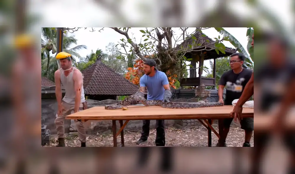 El protagonista del video viral de YouTube dejó que una serpiente pitón abra sus mandíbulas para morder su brazo.