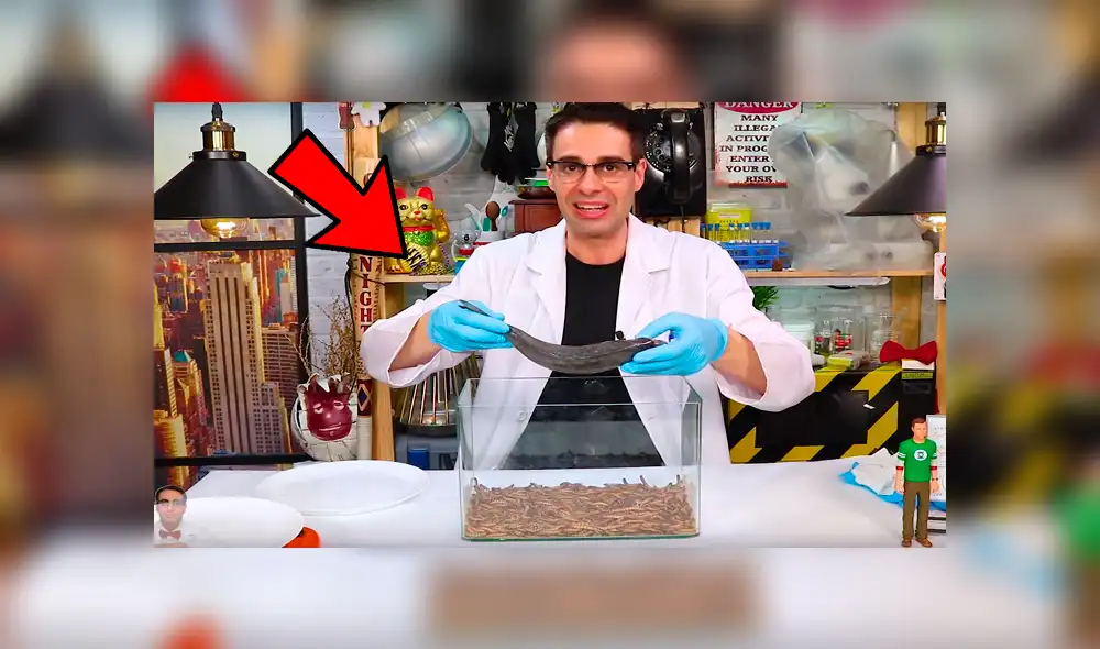 YouTube viral: Arroja pescado a recipiente lleno de gusanos carnívoros y esto sucede [VIDEO]