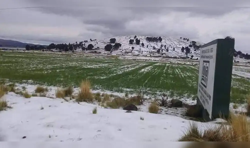 Puno: Pobladores de Yunguyo piden apoyo por granizada y ventarrones [FOTOS]