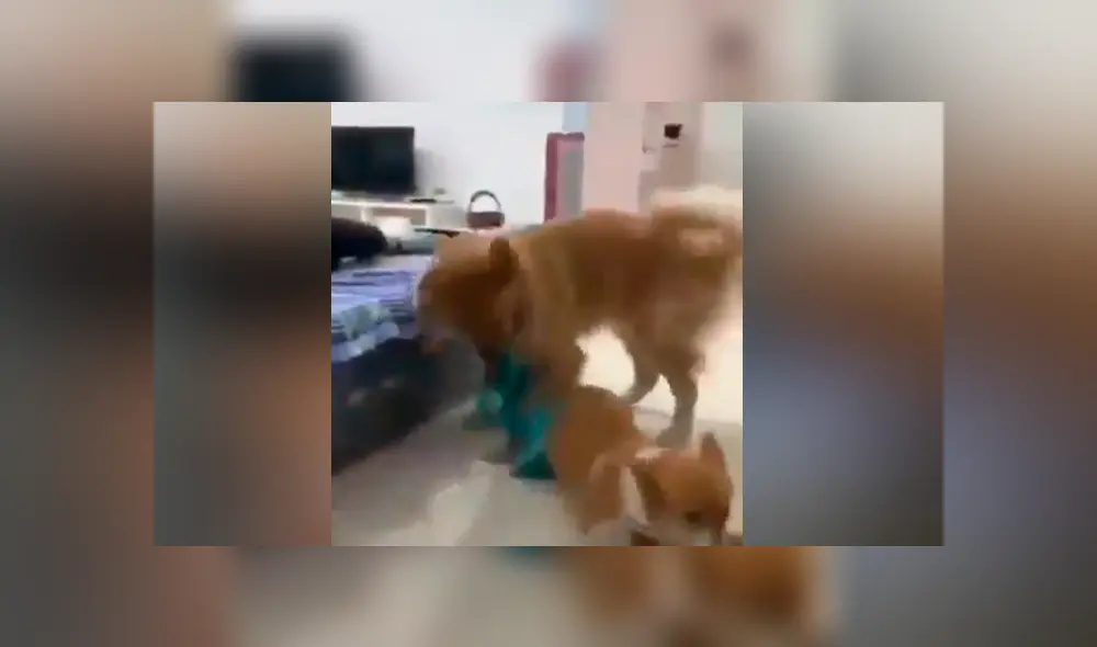 Desliza para ver las imágenes más divertidas del video que se hizo viral en Facebook. Desliza para ver las imágenes más divertidas del video que se hizo viral en Facebook.