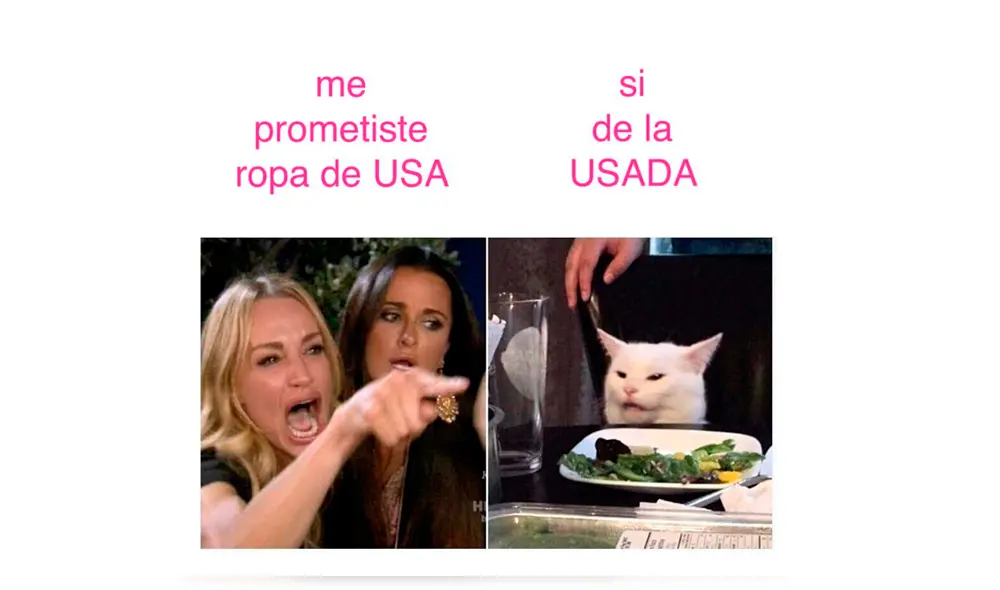 Facebook viral: el verdadero origen del meme de la mujer que le grita furiosa a un gato Facebook viral: el verdadero origen del meme de la mujer que le grita furiosa a un gato