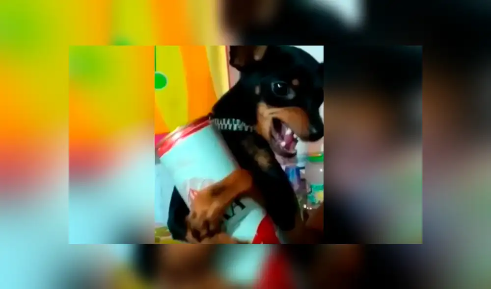 Desliza para ver más del video viral