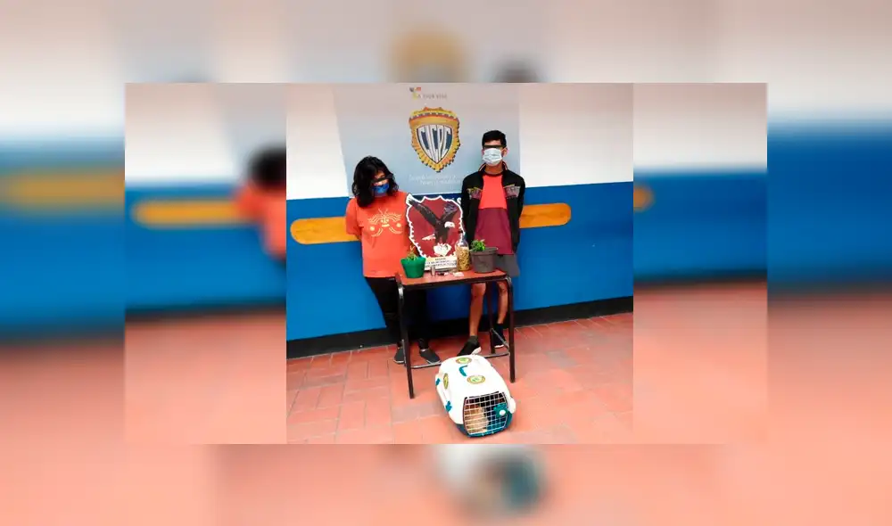 Los jóvenes enfrentan cargos por siembra y suministro de estupefacientes, además de crueldad animal. (Foto: Twitter William Saab)