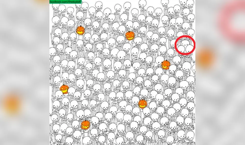 Solo tienes 30 segundos para descubrir dónde está el fantasma. Foto: thedudolf / Facebook