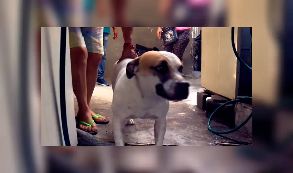 Desliza para ver detalles de este video viral de YouTube. Foto: Captura.