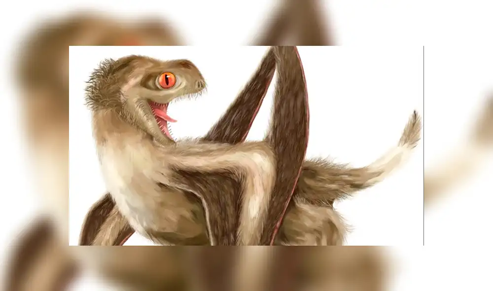 YouTube viral: Extraña criatura parecido a un dinosaurio sorprende en redes sociales [VIDEO]