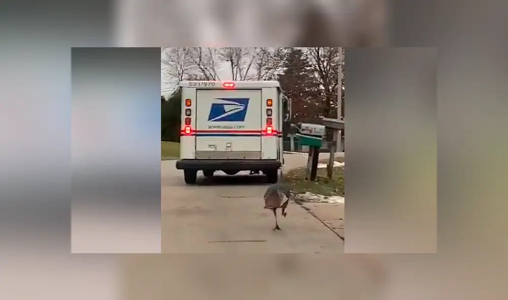 Desliza para ver los momentos más divertidos del video que se hizo viral en Facebook.