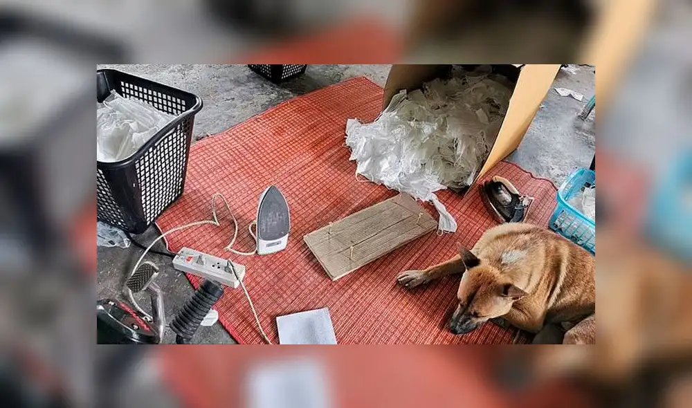 Capturan a trabajadores que lavaban y planchaban mascarillas para revenderlas contra el coronavirus [VIDEO]