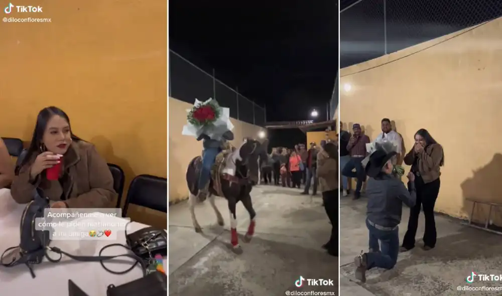 El video ha sumado más de tres millones de reproducciones en TikTok. Foto: composición LR/captura de TikTok/@diloconfloresmx El video ha sumado más de tres millones de reproducciones en TikTok. Foto: composición LR/captura de TikTok/@diloconfloresmx