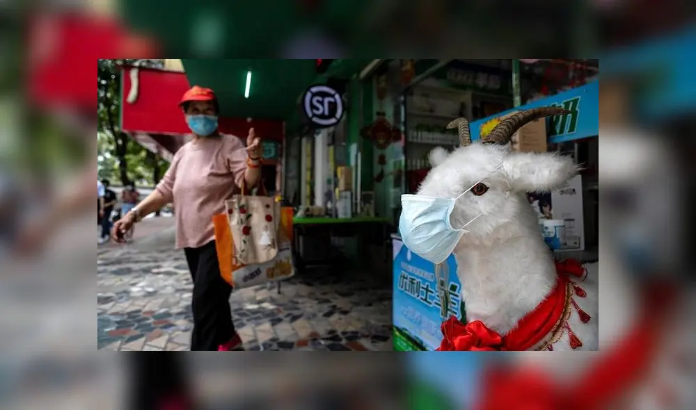 El coronavirus surgió a finales del año pasado en China. Foto: EFE El coronavirus surgió a finales del año pasado en China. Foto: EFE