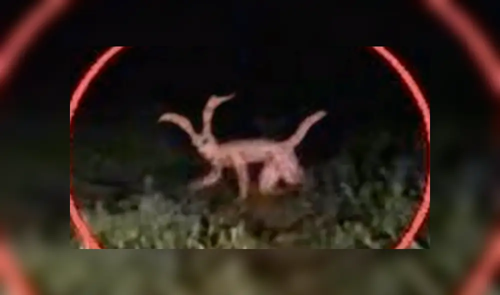 YouTube viral: ¿es real el video del terrorífico 'hombre conejo? Aquí te revelamos el misterio [VIDEO]