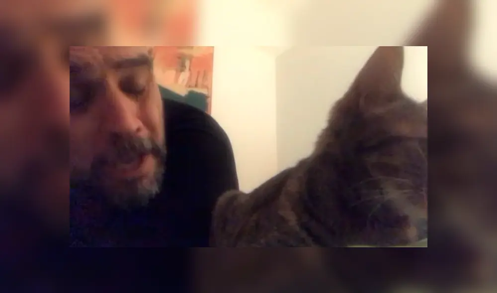 En Facebook, un señor estaba cansado que su gato despierte temprano y le hizo una inesperada súplica. En Facebook, un señor estaba cansado que su gato despierte temprano y le hizo una inesperada súplica.