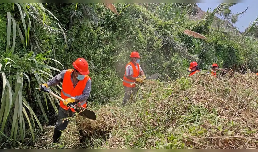 Iniciaron actividades de mantenimiento de canales de riego y drenes en La Libertad Iniciaron actividades de mantenimiento de canales de riego y drenes en La Libertad