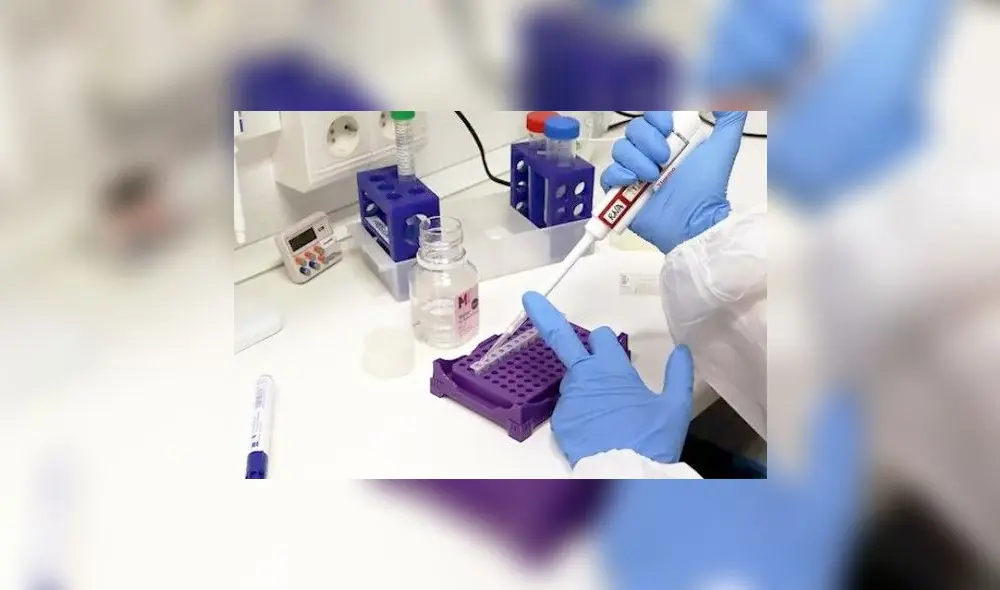 Pruebas son analizadas en laboratorio.