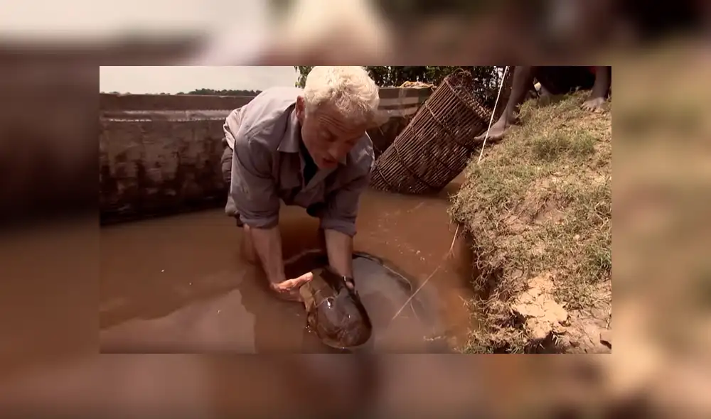 Si quieres conocer la identidad del descomunal pez viral de YouTube, revisa nuestra galería deslizando cada imagen hacia la izquierda.