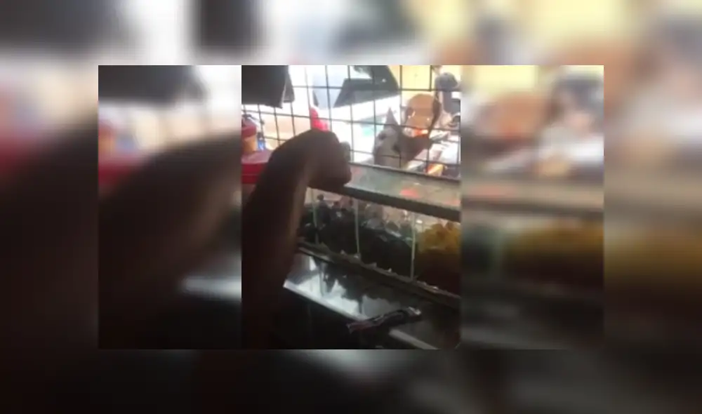 Desliza las imágenes para ver más detalles de esta cómica escena que es viral en Facebook. Desliza las imágenes para ver más detalles de esta cómica escena que es viral en Facebook.