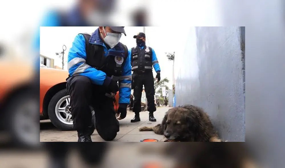 Magdalena del Mar Magdalena del Mar