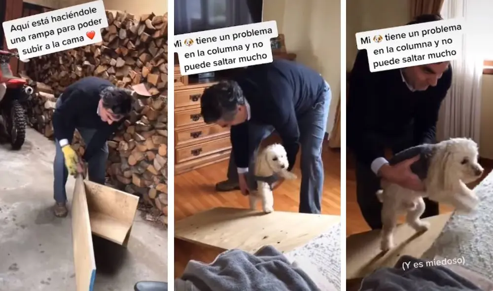 Las imágenes del video han cautivado a miles de usuarios en las redes sociales. Foto: Facebook/TikTok/@manebarbieri