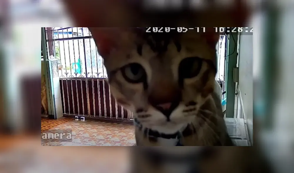 Desliza hacia la izquierda para ver las imágenes del viral de YouTube. Desliza hacia la izquierda para ver las imágenes del viral de YouTube.