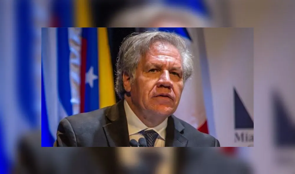 Luis Almagro, secretario general de la OEA. Foto: Difusión Luis Almagro, secretario general de la OEA. Foto: Difusión