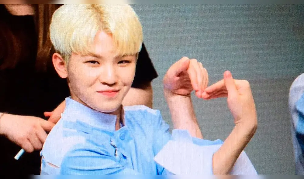 Woozi también es llamado Mr Orange Sneakers, Soft food, White, Lord Woozi, Woozifer, VoBo.