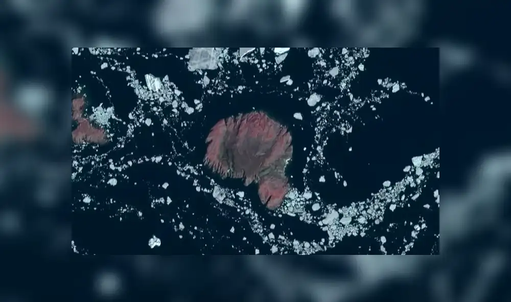 YouTube viral: cámara satelital graba misteriosas criaturas en el lugar menos imaginado [VIDEO]