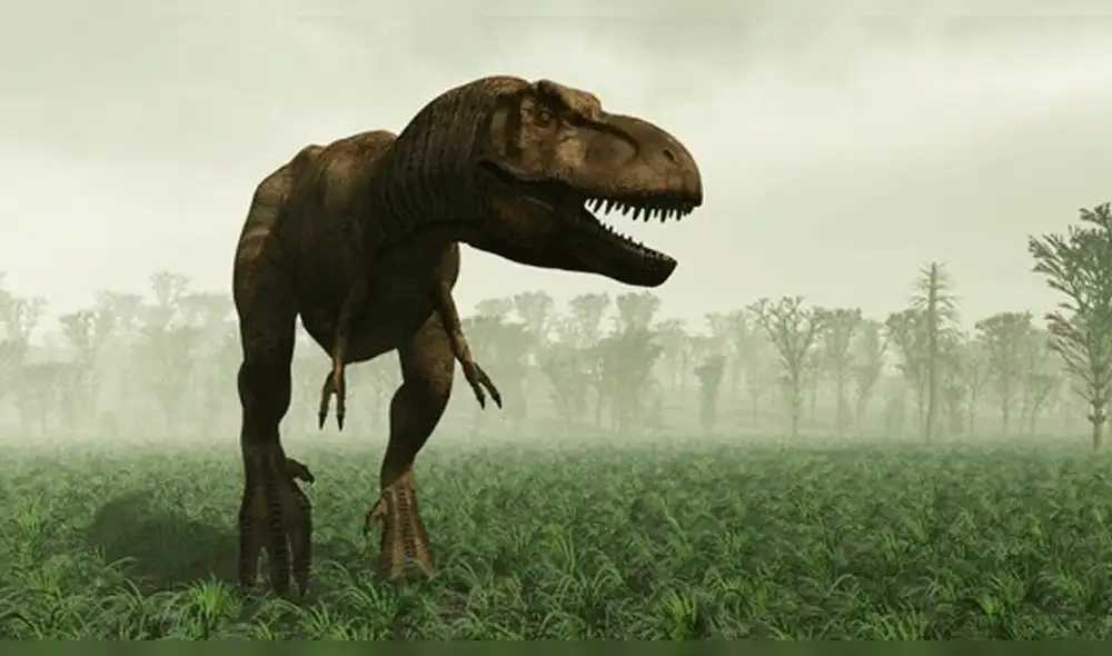 Scotty, el Tiranosaurio Rex más grande del mundo, fue hallado en Canadá [FOTOS]