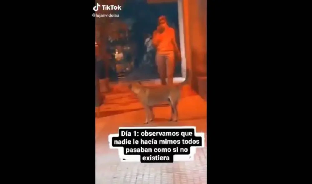 Desliza para ver la secuencia del viral. Foto: TikTok/@lujanvidela