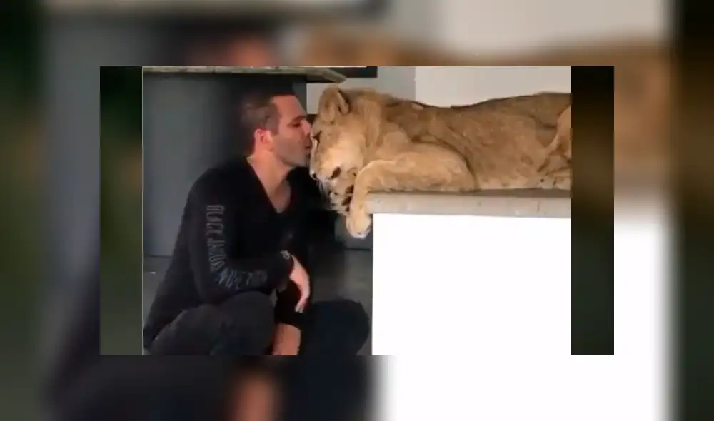 El protagonista del video viral de Facebook colocó su mano en las fauces de una leona arriesgando su vida.