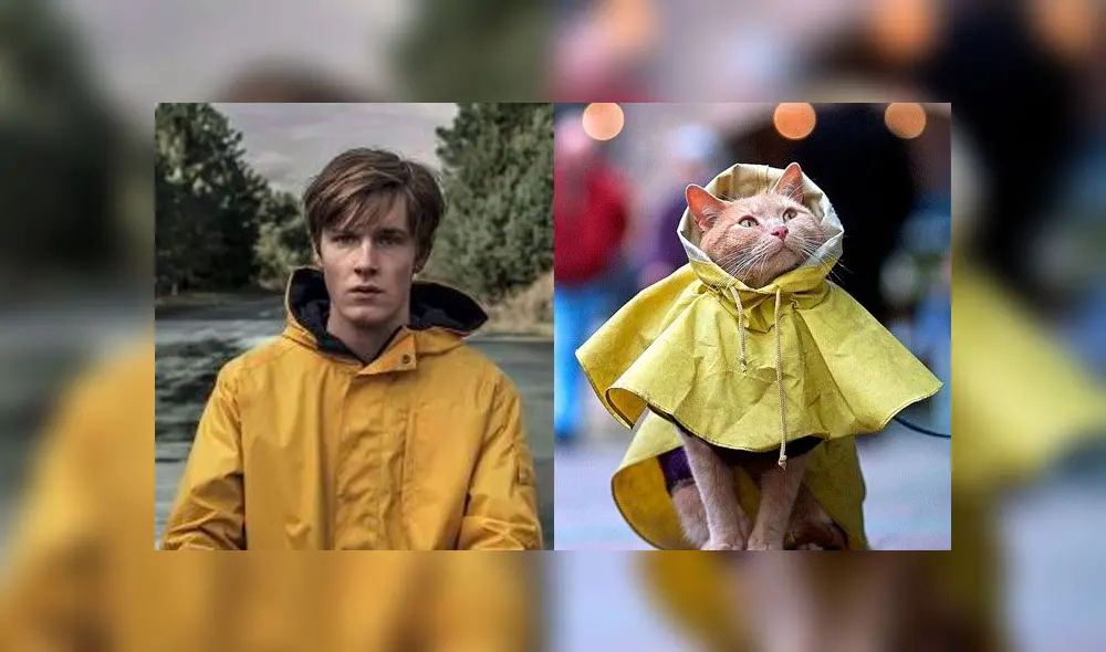 Así se verían los personajes de Dark si fueran gatitos. (Foto: Captura - Twitter: @NetflixLAT)