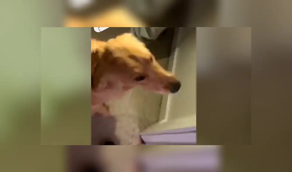 Desliza para ver los momentos más impactantes del video que se hizo viral en Facebook.