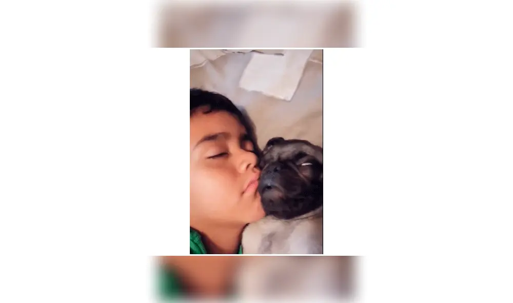 can inesperado can inesperado