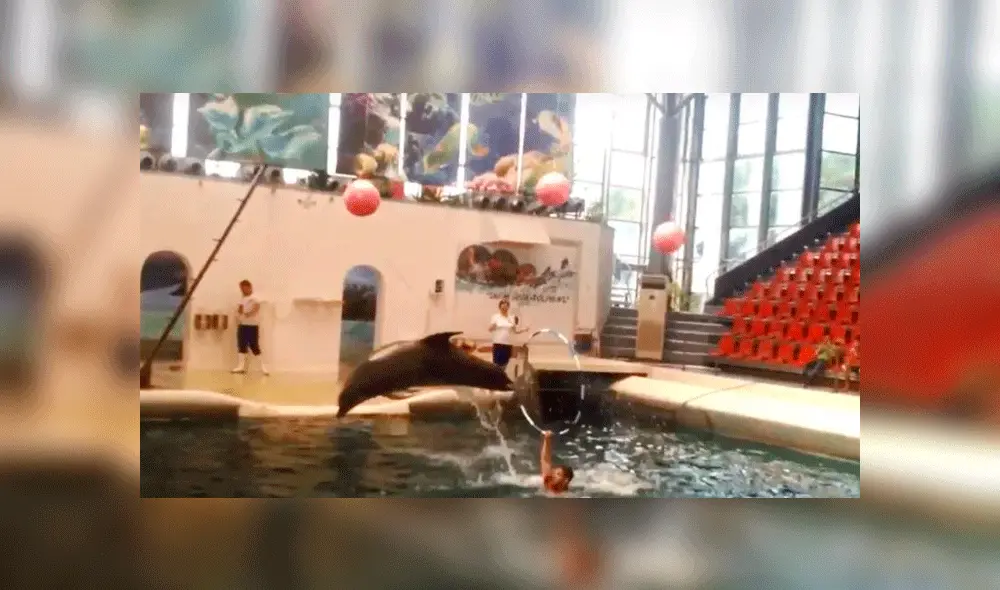 Delfinario de Bulgaria Delfinario de Bulgaria