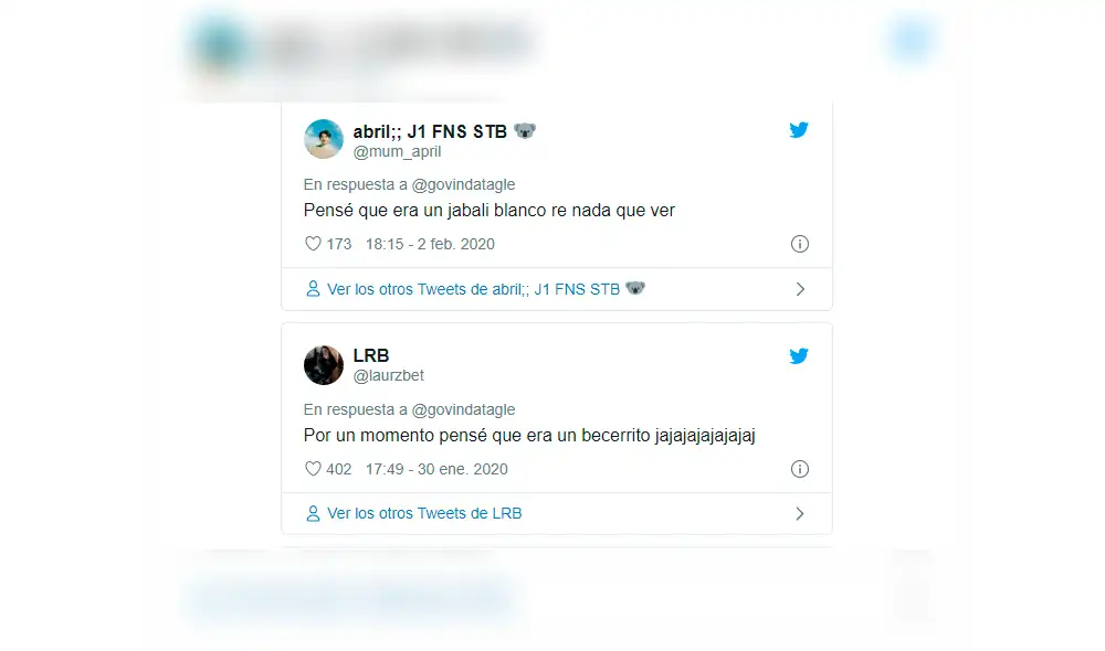 Desliza para ver la ilusión óptica que es viral en Facebook. Foto: Captura.