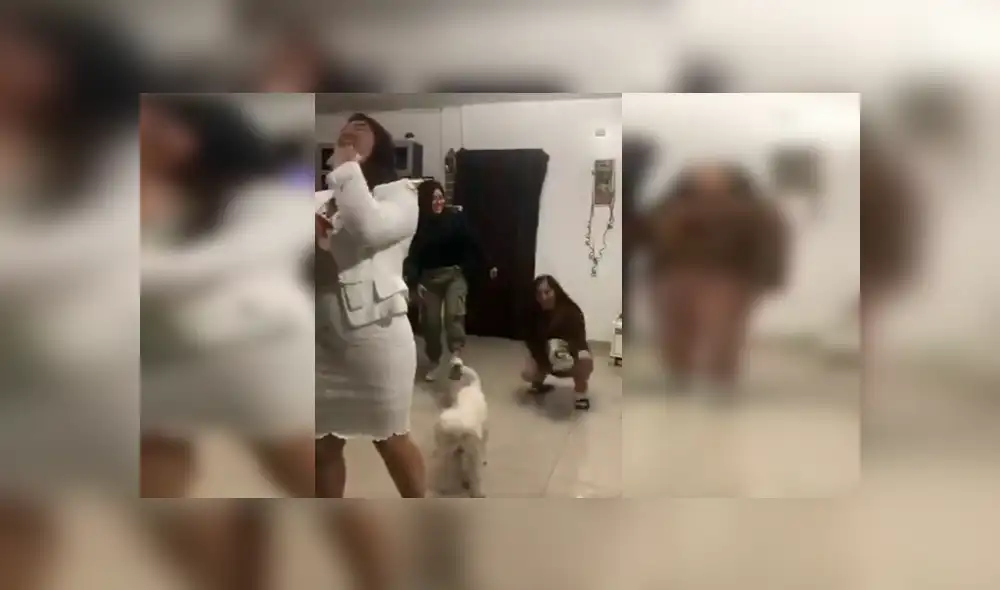 Jóvenes querían retratar uno de los momentos más representativos de una boda, sin imaginar que el travieso can malograría su práctica Jóvenes querían retratar uno de los momentos más representativos de una boda, sin imaginar que el travieso can malograría su práctica