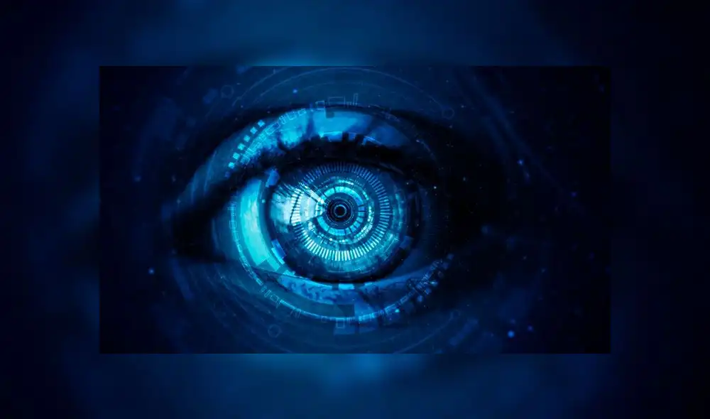 El equipo fue dirigido por el profesor Pieter Roelfsema. Foto: referencial