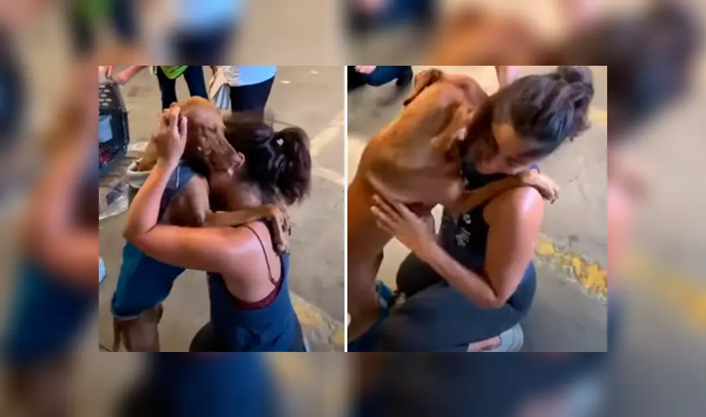 Desliza hacia la izquierda para ver más del video viral. Fotocaptura: YouTube Desliza hacia la izquierda para ver más del video viral. Fotocaptura: YouTube