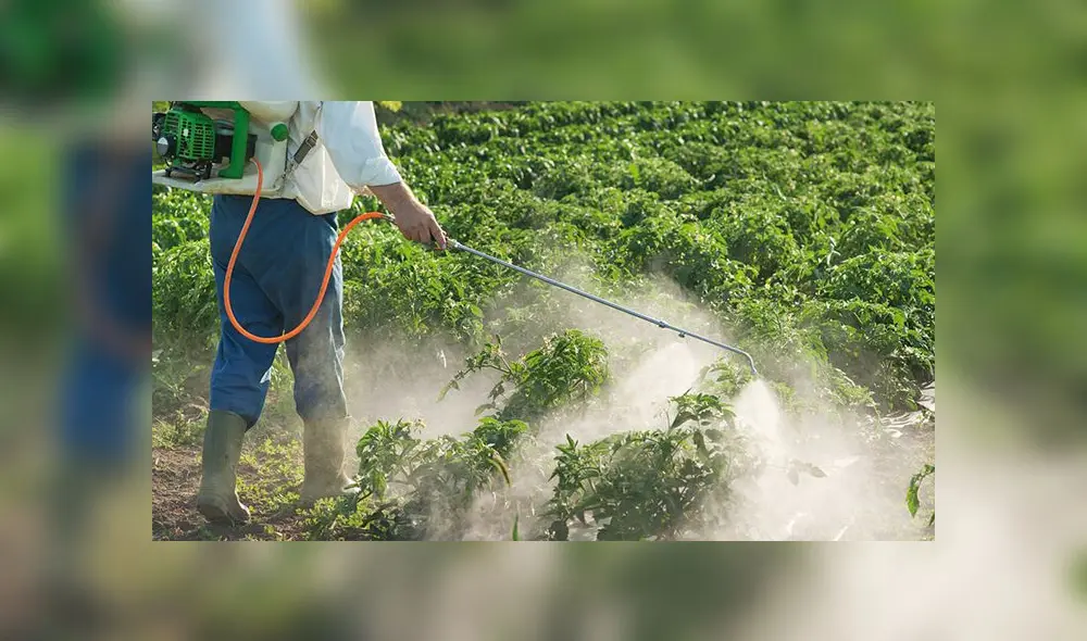 Herbicidas usados en jardines del Perú producen cáncer