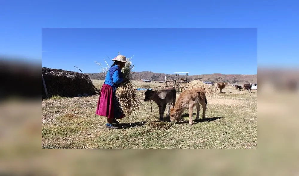 Bono Rural 760 soles Foto: Agro Rural Bono Rural 760 soles Foto: Agro Rural