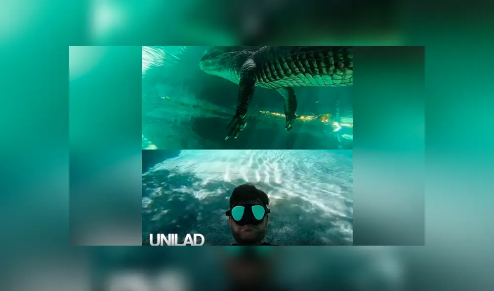 Chico nada en un profundo lago y queda aterrado al ser sorprendido por una extraña criatura [VIDEO]