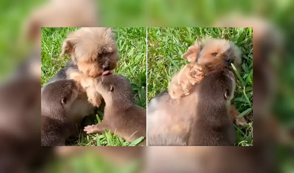 Desliza la imagen compartida de Facebook para verlas todas. Desliza la imagen compartida de Facebook para verlas todas.