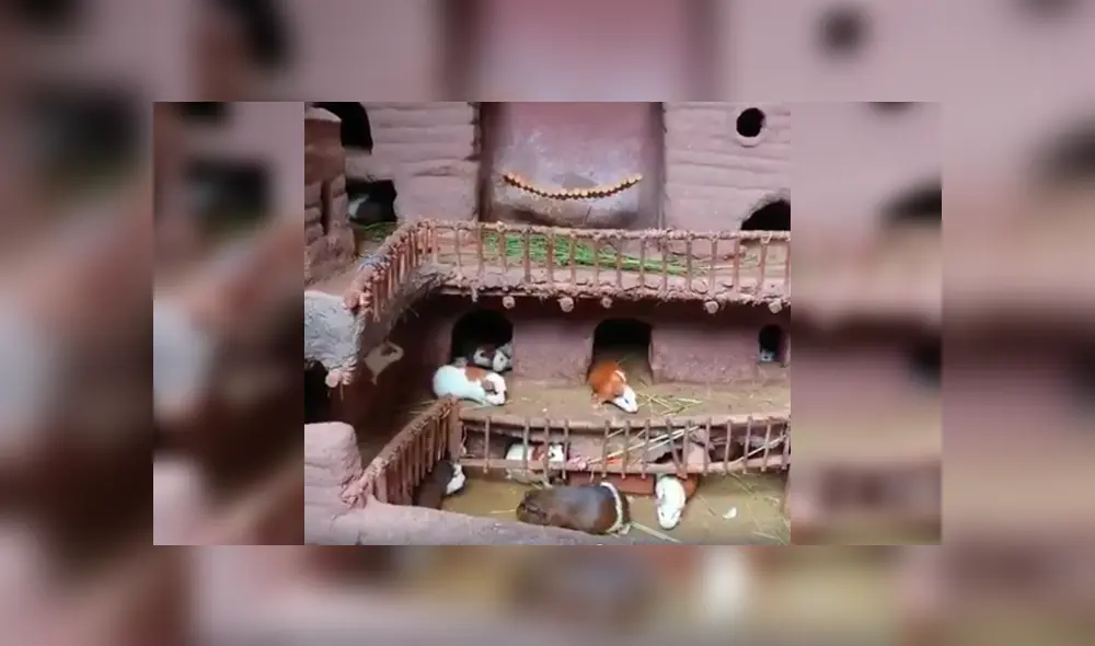 Desliza para ver los detalles del video viral de YouTube. Foto: Captura. Desliza para ver los detalles del video viral de YouTube. Foto: Captura.