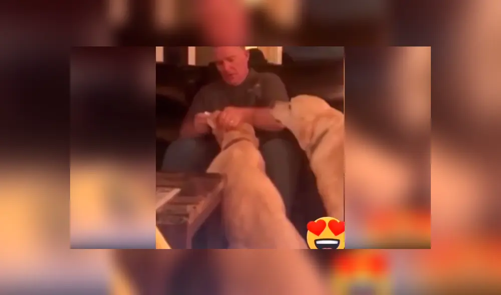 Desliza las imágenes para ver la singular escena que protagonizó este perrito junto con su dueño. Fotocaptura: @edu_perdomo/TikTok Desliza las imágenes para ver la singular escena que protagonizó este perrito junto con su dueño. Fotocaptura: @edu_perdomo/TikTok