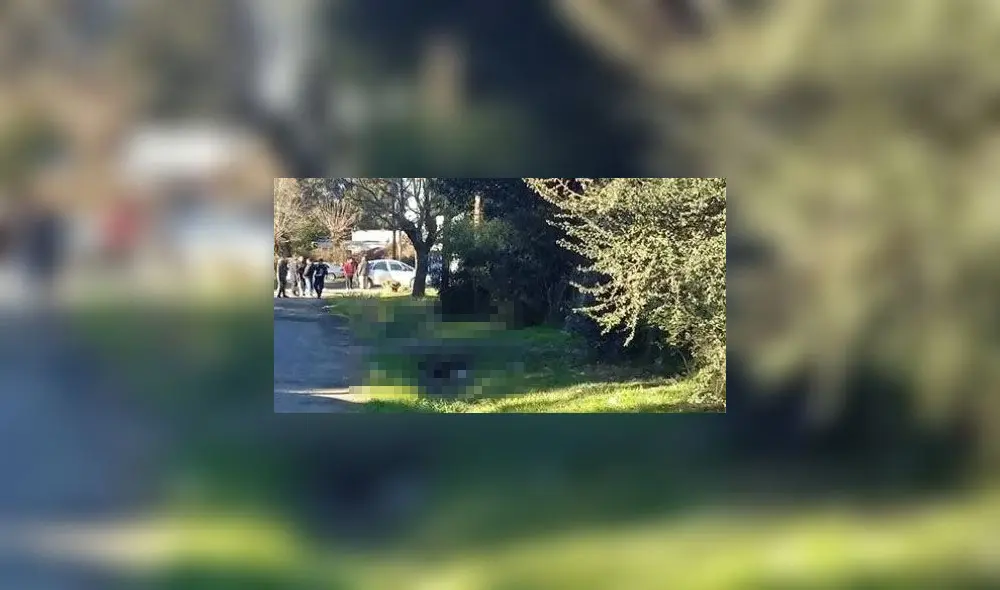 Foto: Captura. Foto: Captura.