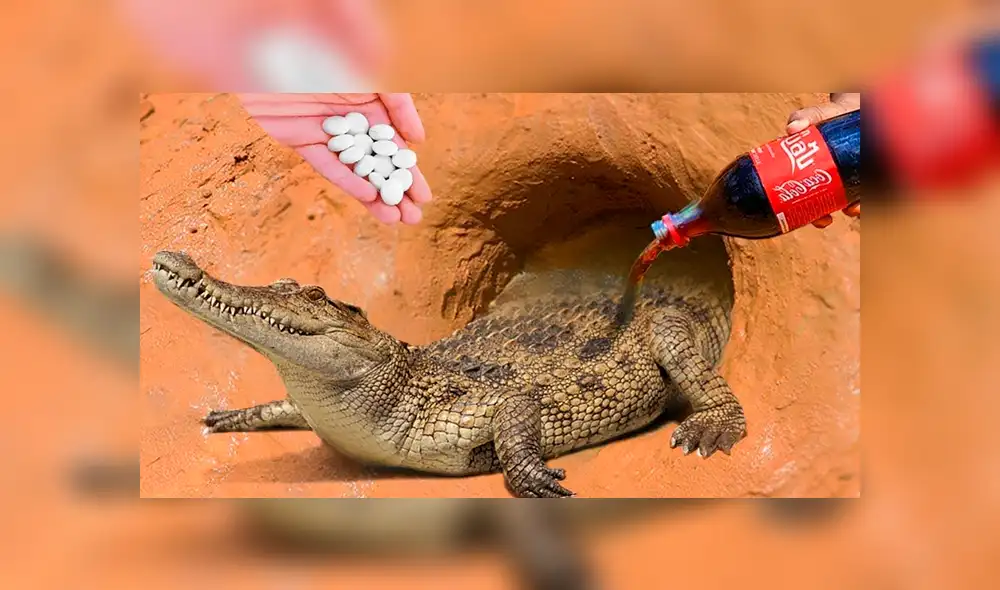 Desliza hacia la izquierda para ver las imágenes de YouTube sobre el hallazgo que hizo un joven tras colocar Coca Cola y mentos en el interior de un hoyo.