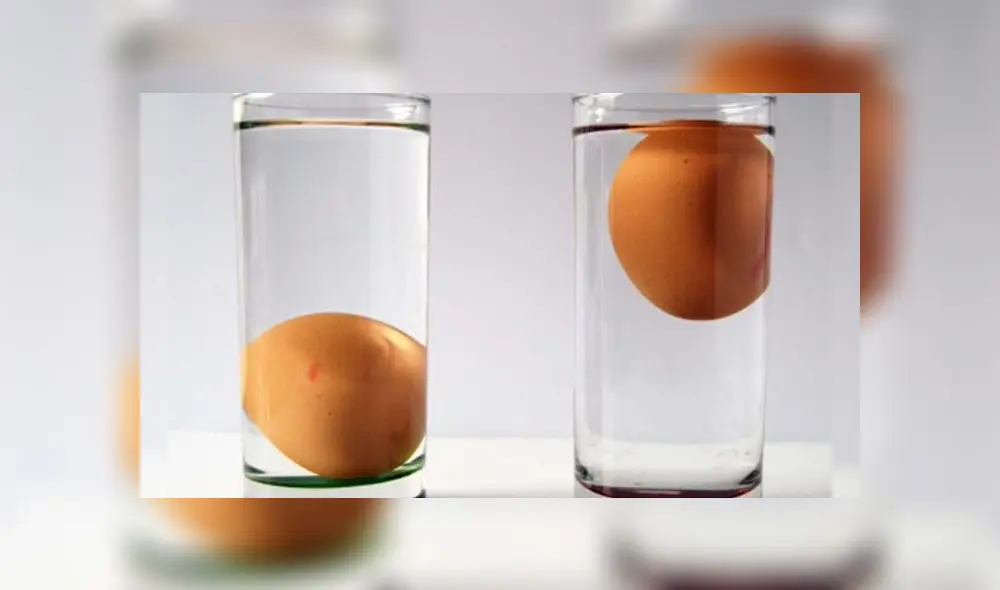 ¿Cómo saber si los huevos están buenos o malos? Foto: captura web 'Yo como bien'.