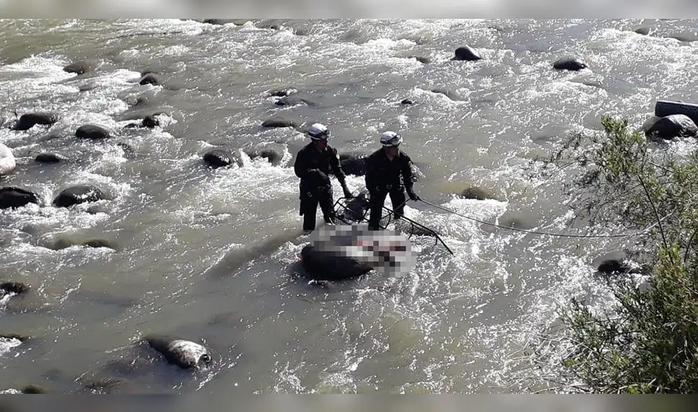 Policías rescatan cadáver atrapado en el río Chili de Arequipa [VIDEO]