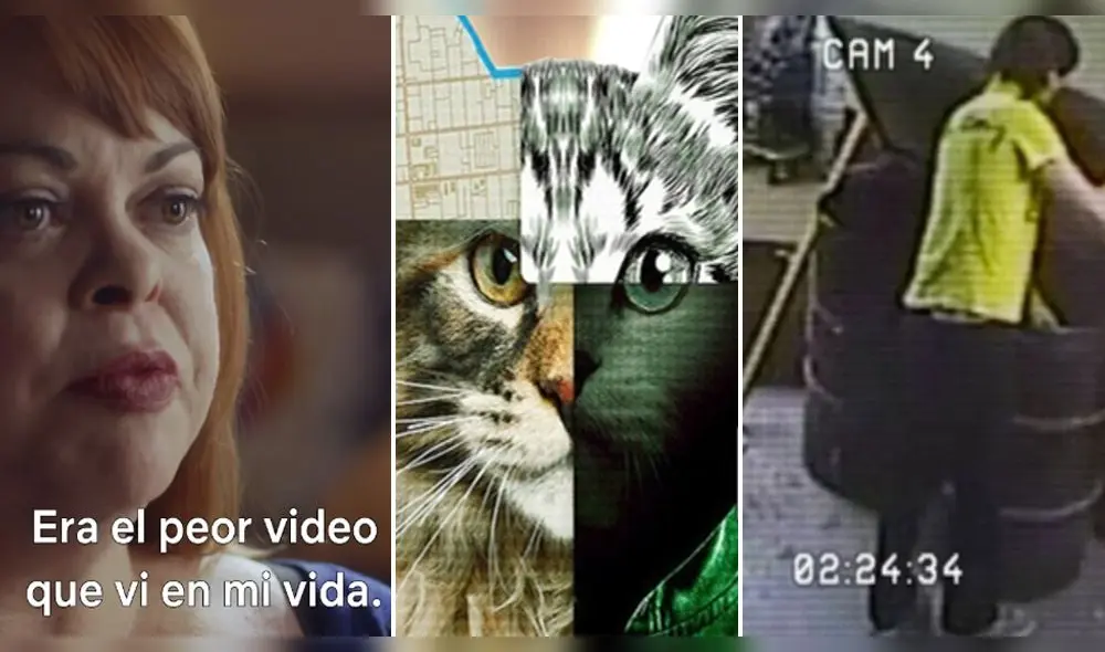 Luka Magnotta cometió uno de los crímenes más atroces de Canadá y en Netflix ha expuesto su historia -  Fuente: difusión