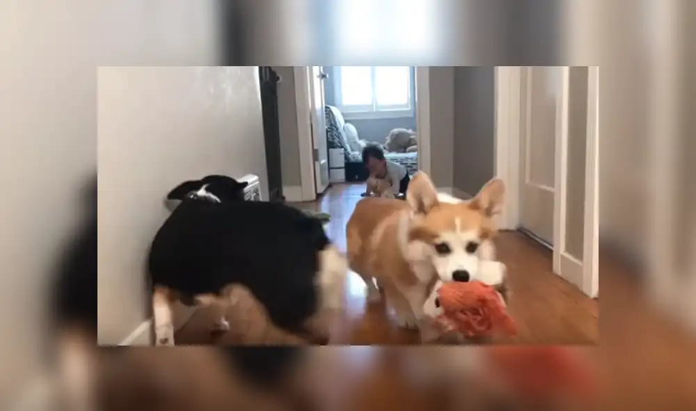 Desliza hacia la izquierda para ver más del video viral. Desliza hacia la izquierda para ver más del video viral.