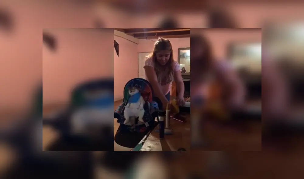 Desliza las imágenes para apreciar el inesperado comportamiento de un gato cuando su dueña le corta los pelos.